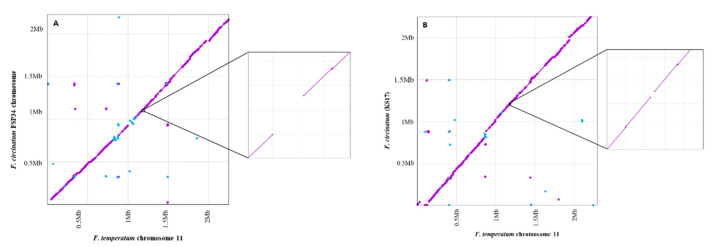 Identification and Characterization of a QTL for Growth of <i>Fusarium circinatum</i> on Pine-Based Medium.