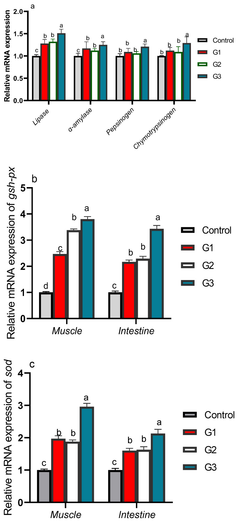Exploring the Interactive Effects of Thymol and Thymoquinone: Moving towards an Enhanced Performance, Gross Margin, Immunity and <i>Aeromonas sobria</i> Resistance of Nile Tilapia (<i>Oreochromis niloticus</i>).
