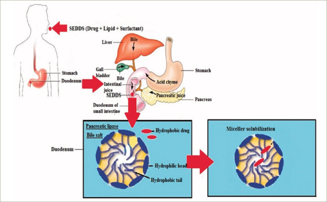 Testosterone Replacement Therapy: A Narrative Review with a Focus on New Oral Formulations.