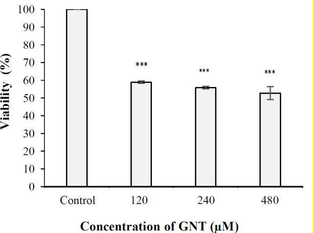 Evaluation of Anticancer and Cytotoxic Effects of Genistein on PC3 Prostate Cell Line under Three-Dimensional Culture Medium