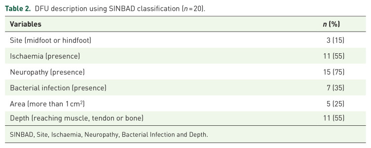 Characterizing palliative care needs in people with or at risk of developing diabetic foot ulcers.