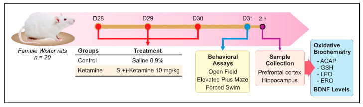 "K-Powder" Exposure during Adolescence Elicits Psychiatric Disturbances Associated with Oxidative Stress in Female Rats.