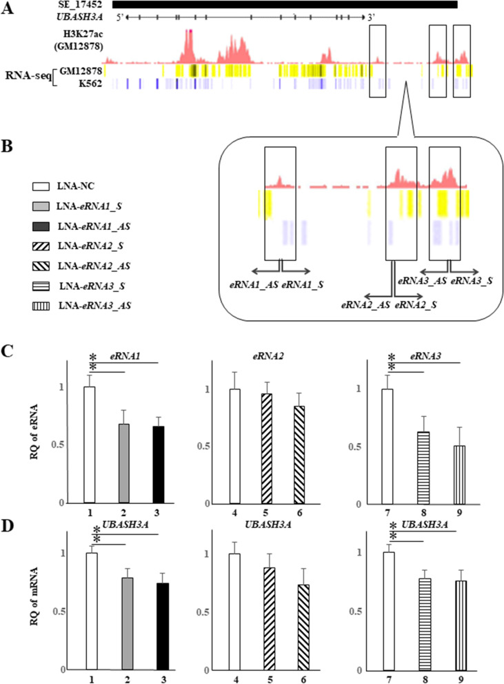 IL-6 production through repression of UBASH3A gene via epigenetic dysregulation of super-enhancer in CD4<sup>+</sup> T cells in rheumatoid arthritis.