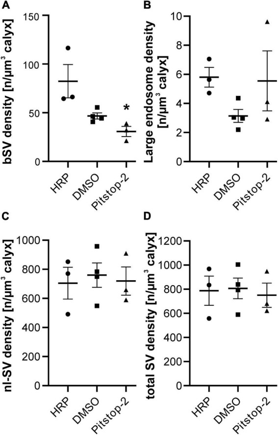 Effects of the clathrin inhibitor Pitstop-2 on synaptic vesicle recycling at a central synapse <i>in vivo</i>.