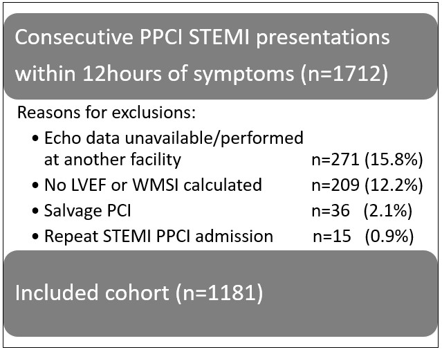 The Prognostic Value of Echocardiographic Wall Motion Score Index in ST-Segment Elevation Myocardial Infarction.