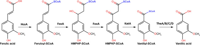 Utilization of ferulic acid in <i>Aspergillus niger</i> requires the transcription factor FarA and a newly identified Far-like protein (FarD) that lacks the canonical Zn(II)<sub>2</sub>Cys<sub>6</sub> domain.