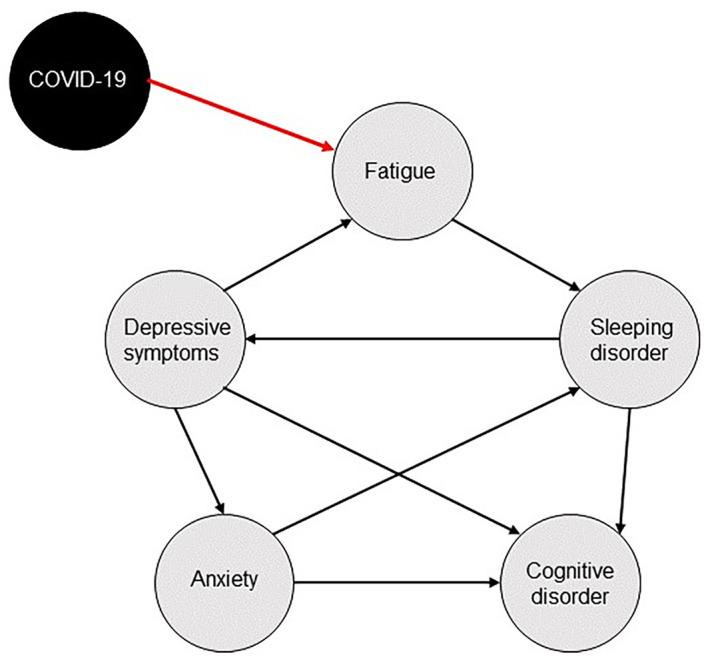 A Network Perspective on Neuropsychiatric and Cognitive Symptoms of the Post-COVID Syndrome.