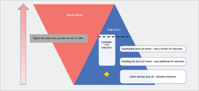 Statin-related Muscle Toxicity: An Evidence-based Review.