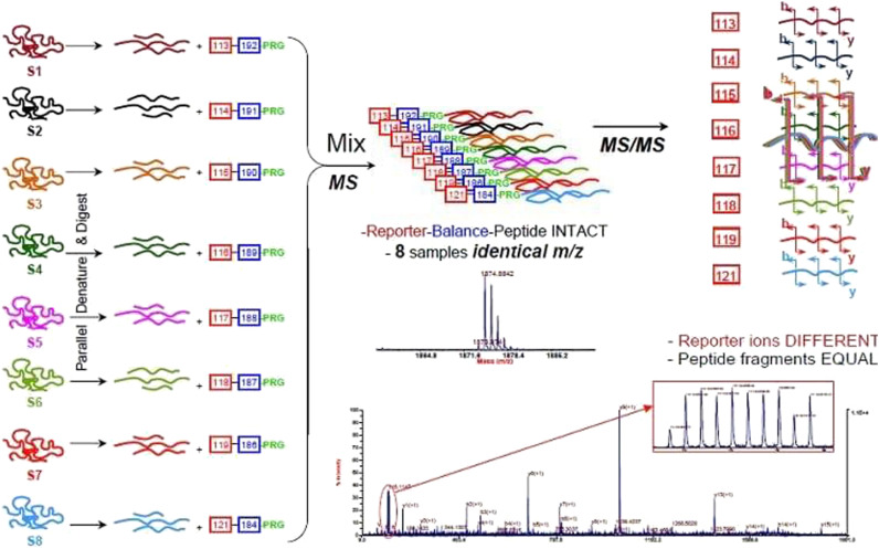 Hyperbaric Oxygen Therapy-Induced Molecular and Pathway Changes in a Rat Model of Spinal Cord Injury: A Proteomic Analysis.