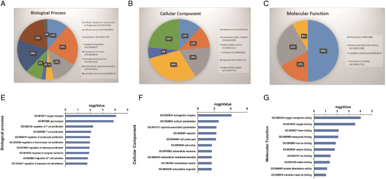 Hyperbaric Oxygen Therapy-Induced Molecular and Pathway Changes in a Rat Model of Spinal Cord Injury: A Proteomic Analysis.