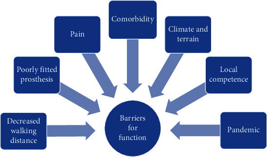 Facilitators and Barriers That Transfemoral Amputees Experience in Their Everyday Life: A Norwegian Qualitative Study.