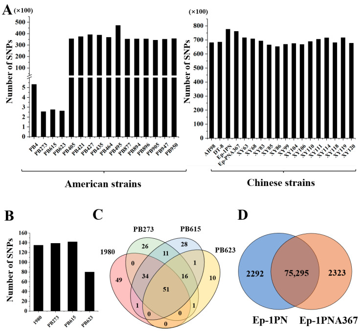 Fungal Strains with Identical Genomes Were Found at a Distance of 2000 Kilometers after 40 Years.