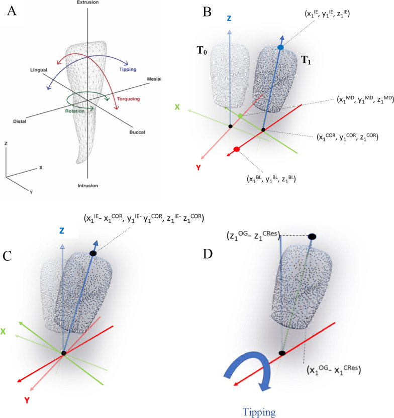 Predictability of lower incisor tip using clear aligner therapy.