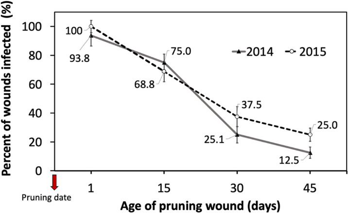 Duration of the susceptibility of pruning wounds of different ages to infections by <i>Phaeomoniella chlamydospora</i> on grapevine cv. Cabernet Sauvignon in Central Chile.