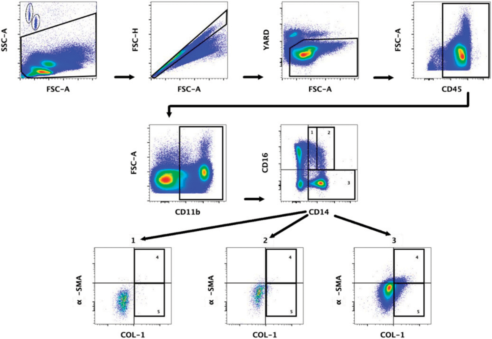 Characterization of Circulating Fibrocytes in People Living with HIV on Stable Antiretroviral Therapy.