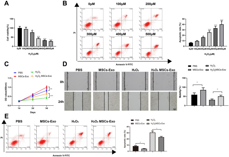 MSCs-Derived miR-150-5p-Expressing Exosomes Promote Skin Wound Healing by Activating PI3K/AKT Pathway through PTEN.