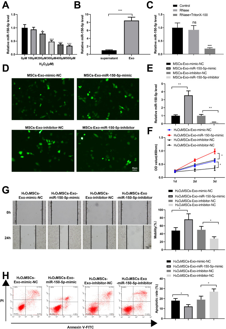 MSCs-Derived miR-150-5p-Expressing Exosomes Promote Skin Wound Healing by Activating PI3K/AKT Pathway through PTEN.