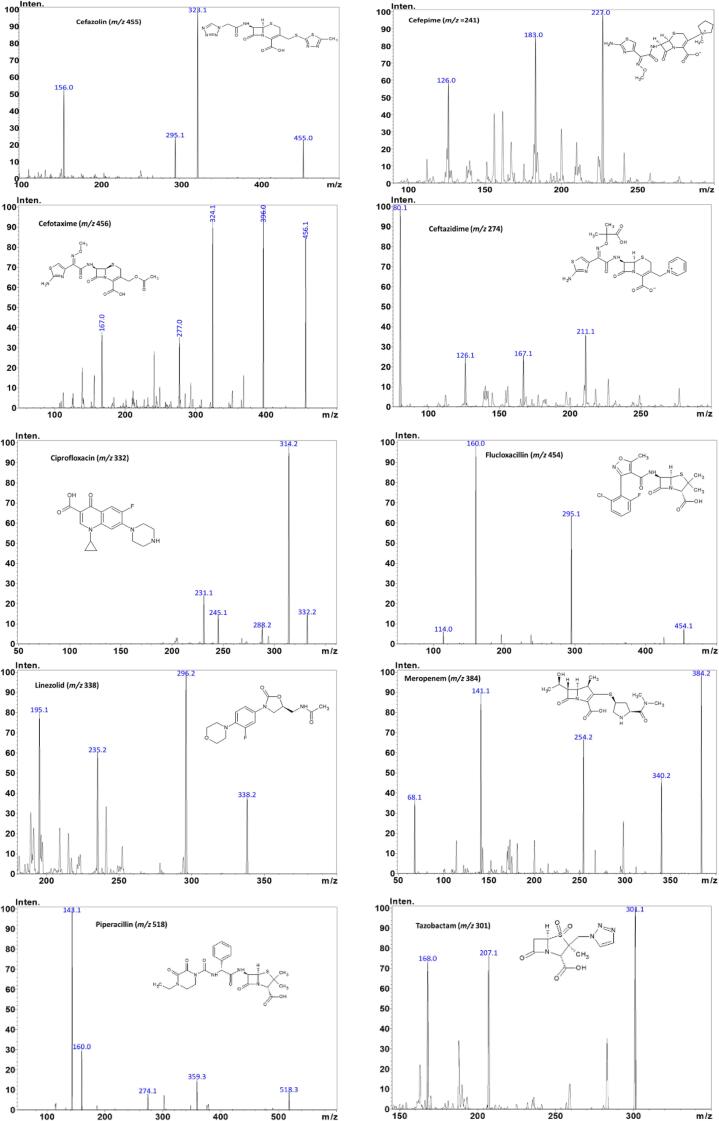 LC–MS/MS method for simultaneous quantification of ten antibiotics in human plasma for routine therapeutic drug monitoring