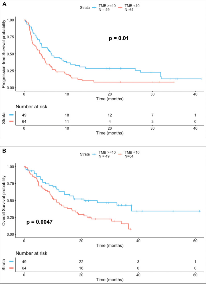 Tumor Infiltrating Lymphocyte Expression of PD-1 Predicts Response to Anti-PD-1/PD-L1 Immunotherapy.