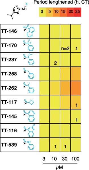 Structure-Function Study of a Novel Inhibitor of Cyclin-Dependent Kinase C in Arabidopsis.