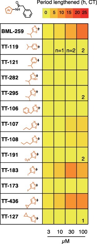 Structure-Function Study of a Novel Inhibitor of Cyclin-Dependent Kinase C in Arabidopsis.