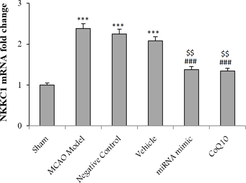 Upregulation of MiRNA-149-5p Reduces the Infract Volume in Middle Cerebral Artery Occlusion Rats by Modulating Cation-Chloride Cotransporters Expressions