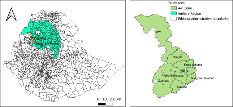 A Retrospective Study on the Epidemiology of Anthrax Among Livestock from 2011 to 2020 in Awi Administrative Zone, Amhara Region, Northwest Ethiopia.