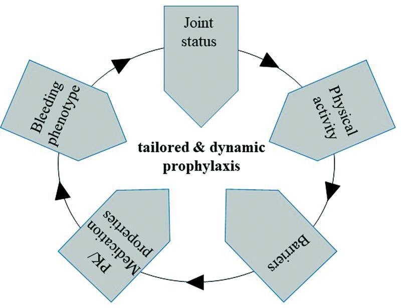 The Limitations and Unmet Needs of the Five Cornerstones to Guarantee Lifelong Optimization of Prophylaxis in Hemophilia Patients.