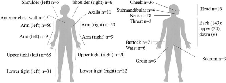 Subcutaneous fat necrosis in newborns: a systematic literature review of case reports and model of pathophysiology.