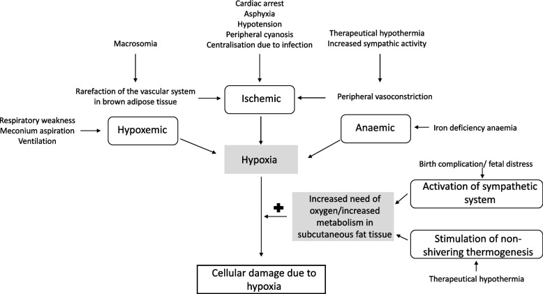 Subcutaneous fat necrosis in newborns: a systematic literature review of case reports and model of pathophysiology.