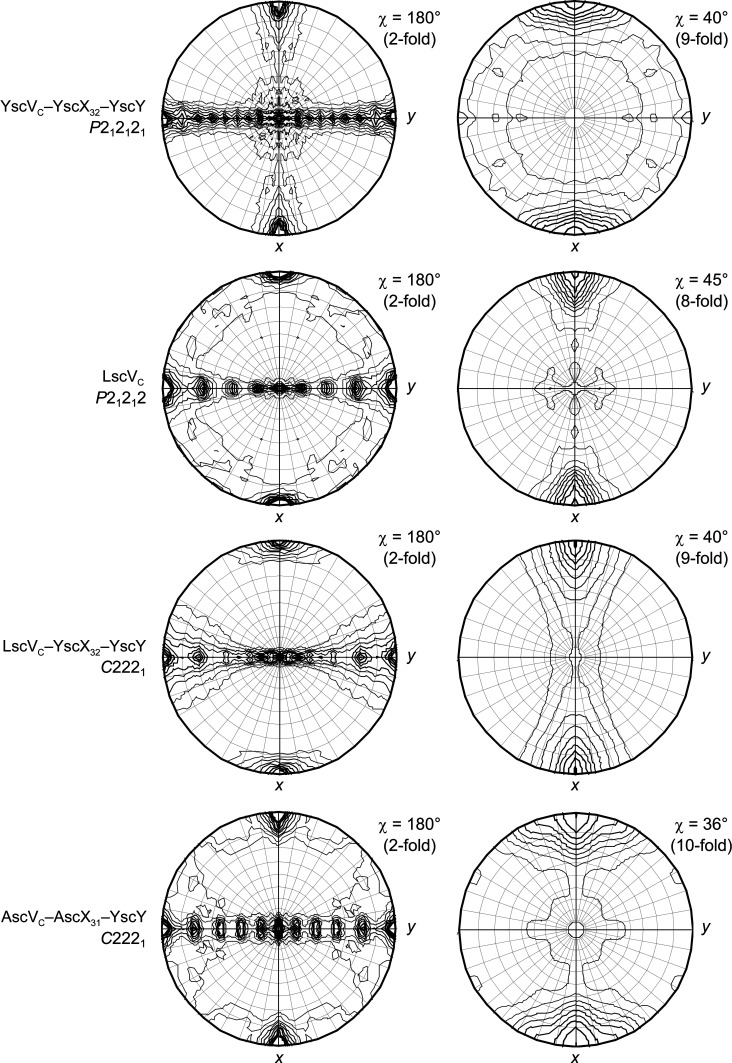 Crystals of SctV from different species reveal variable symmetry for the cytosolic domain of the type III secretion system export gate.