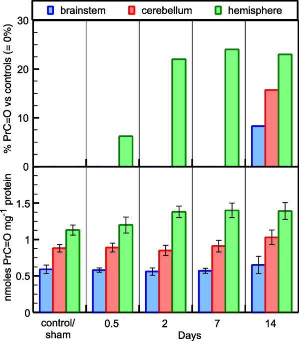 Time progression and regional expression of brain oxidative stress induced by obstructive jaundice in rats.