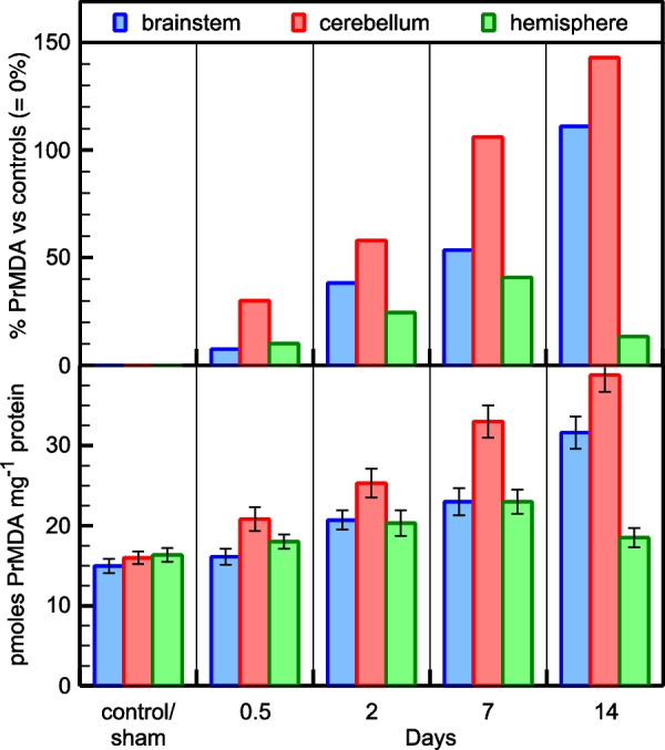 Time progression and regional expression of brain oxidative stress induced by obstructive jaundice in rats.