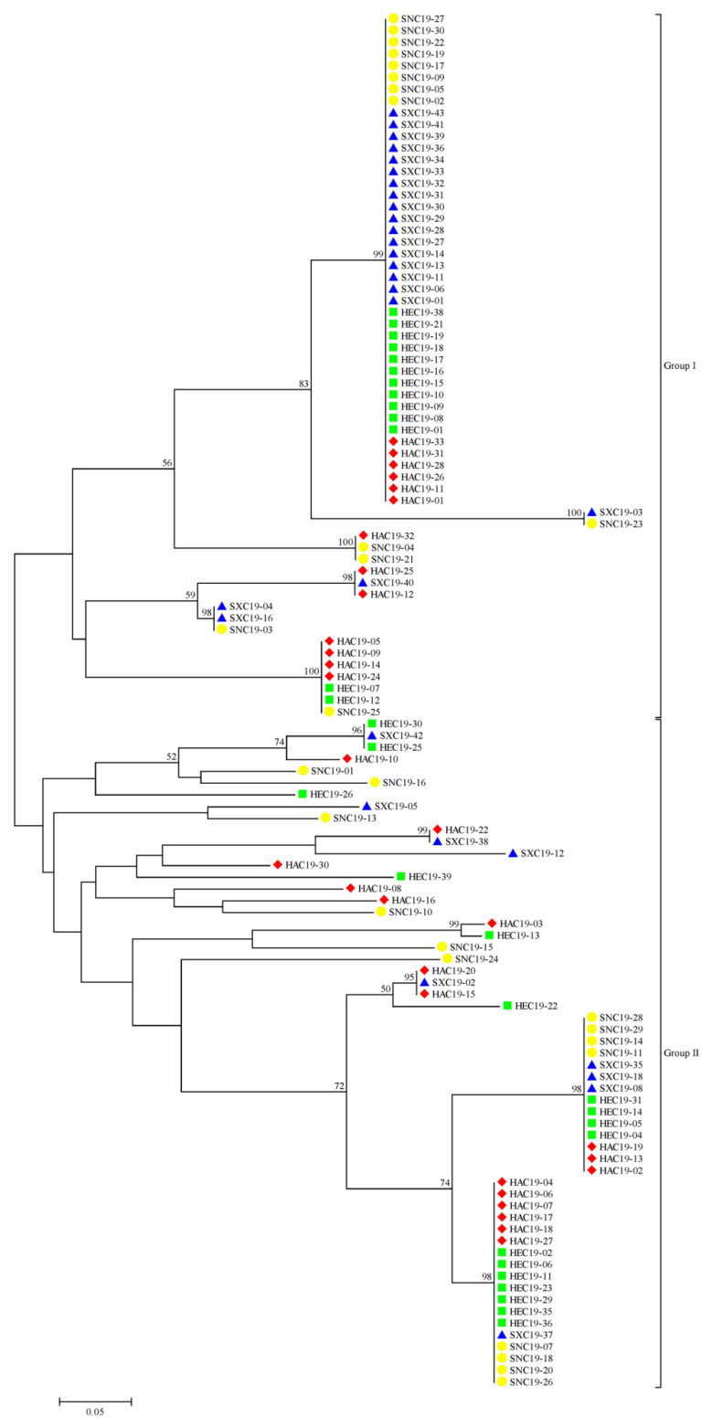 Genetic Diversity, Population Structure and Mating Type Distribution of <i>Setosphaeria turcica</i> on Corn in Midwestern China.