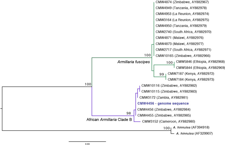 IMA genome‑F17 : Draft genome sequences of an Armillaria species from Zimbabwe, Ceratocystis colombiana, Elsinoë necatrix, Rosellinia necatrix, two genomes of Sclerotinia minor, short‑read genome assemblies and annotations of four Pyrenophora teres isolates from barley grass, and a long-read genome assembly of Cercospora zeina.