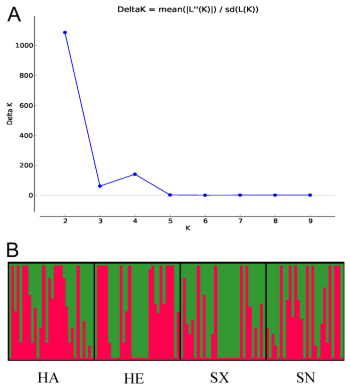 Genetic Diversity, Population Structure and Mating Type Distribution of <i>Setosphaeria turcica</i> on Corn in Midwestern China.