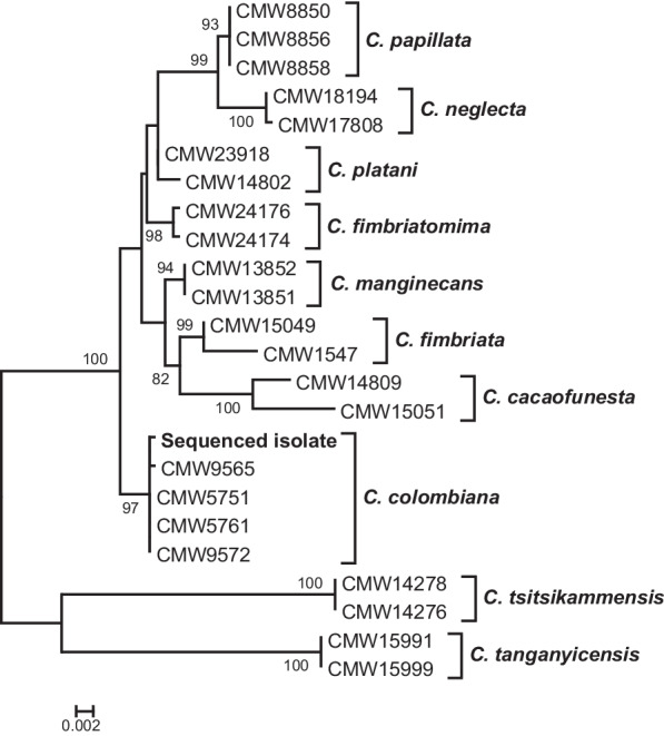 IMA genome‑F17 : Draft genome sequences of an Armillaria species from Zimbabwe, Ceratocystis colombiana, Elsinoë necatrix, Rosellinia necatrix, two genomes of Sclerotinia minor, short‑read genome assemblies and annotations of four Pyrenophora teres isolates from barley grass, and a long-read genome assembly of Cercospora zeina.