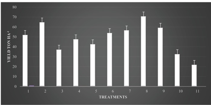 Integrated Management of <i>Meloidogyne Incognita</i> and Soilborne Fungi Infecting Cucumber Under Protected Cultivation.