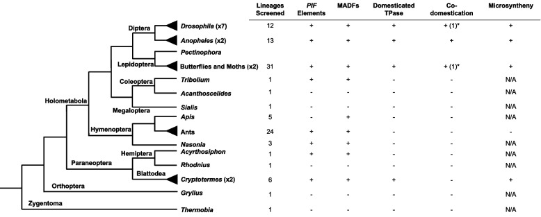 Recurrent co-domestication of PIF/Harbinger transposable element proteins in insects.