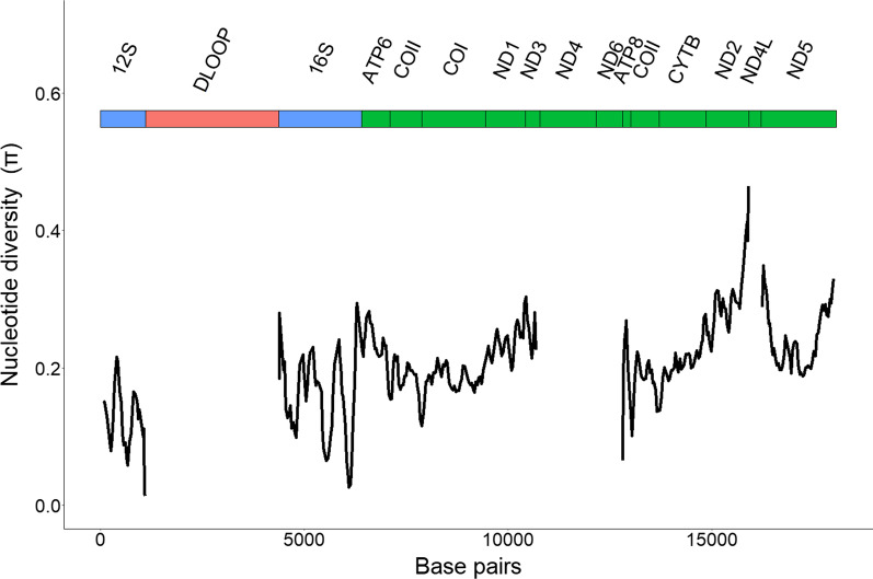 Complete mitochondrial genomes and updated divergence time of the two freshwater clupeids endemic to Lake Tanganyika (Africa) suggest intralacustrine speciation.