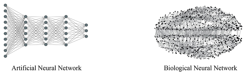 Learning on Arbitrary Graph Topologies via Predictive Coding.