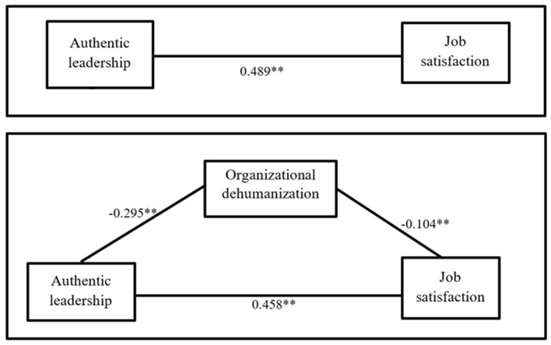 Authentic Leadership and Its Relationship With Job Satisfaction: The Mediator Role of Organizational Dehumanization.