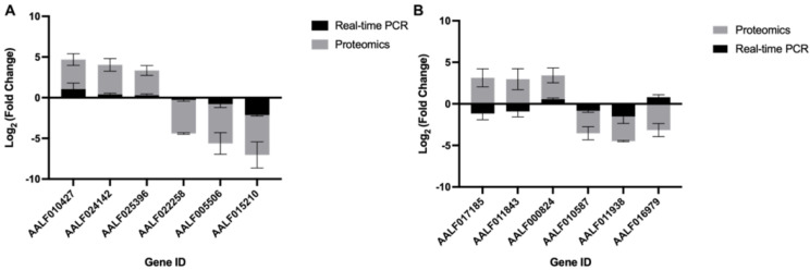 Impact of CHIKV Replication on the Global Proteome of <i>Aedes albopictus</i> Cells.