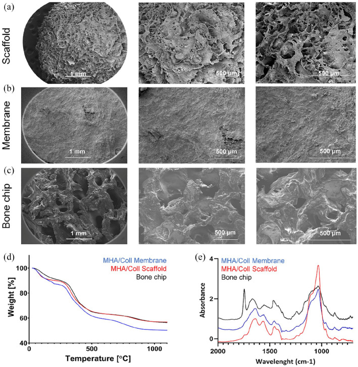 Osteogenesis in the presence of chemotherapy: A biomimetic approach.