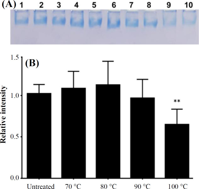 A Novel Hyperthermostable Recombinant Protein Nanocage