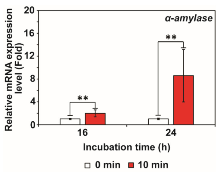 Enhancement of Fungal Enzyme Production by Radio-Frequency Electromagnetic Fields.