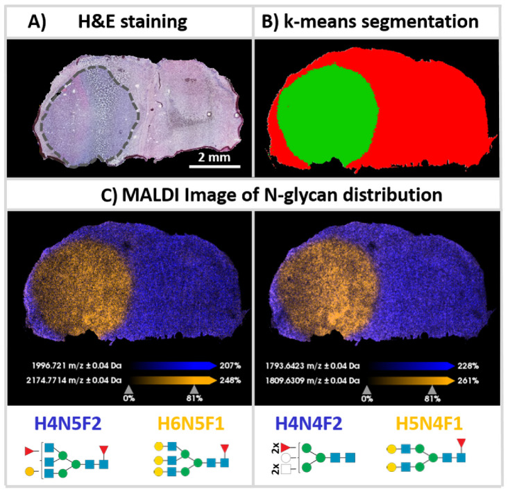 Device-Controlled Microcondensation for Spatially Confined On-Tissue Digests in MALDI Imaging of <i>N</i>-Glycans.