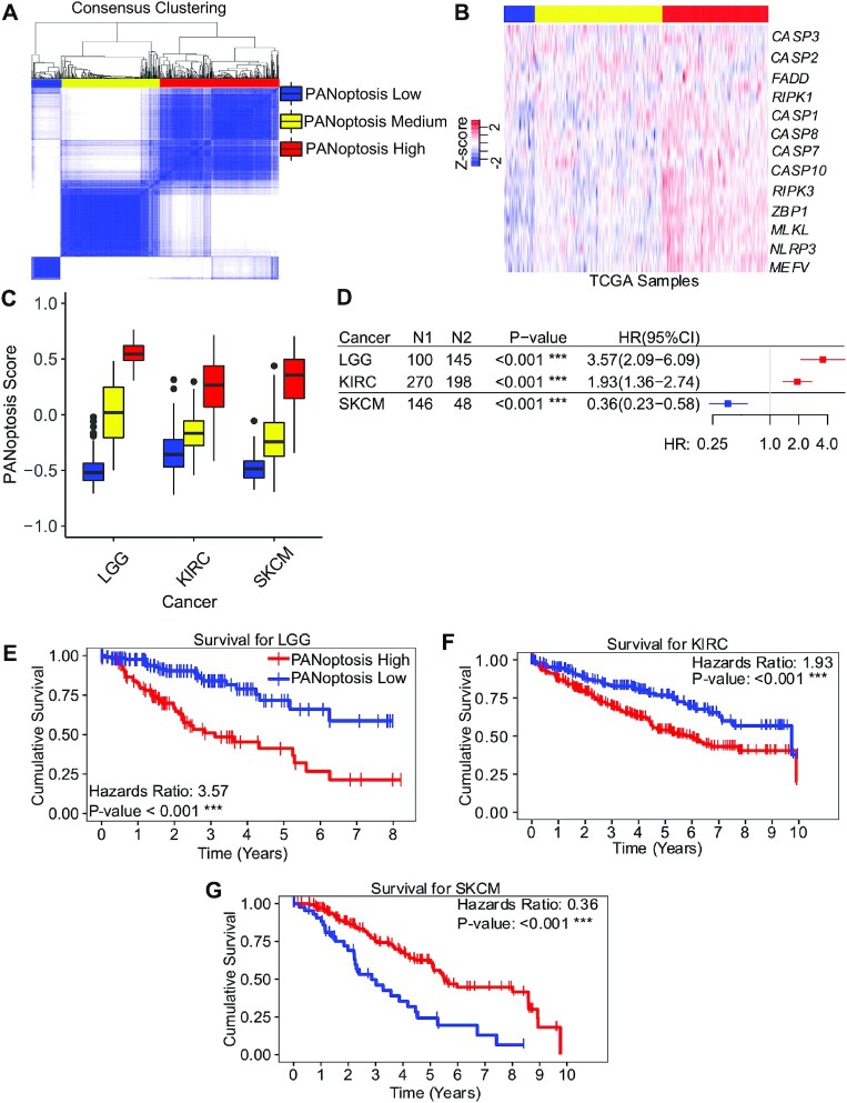 Pancancer transcriptomic profiling identifies key PANoptosis markers as therapeutic targets for oncology.