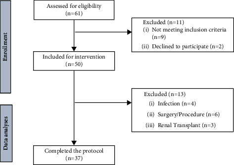 Effects of Standardized Brazilian Green Propolis Extract (EPP-AF®) on Inflammation in Haemodialysis Patients: A Clinical Trial.