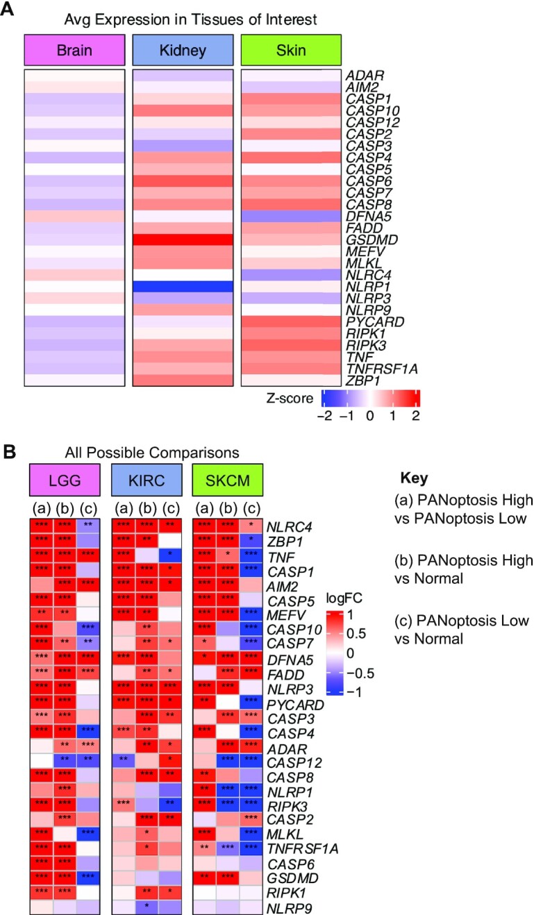 Pancancer transcriptomic profiling identifies key PANoptosis markers as therapeutic targets for oncology.